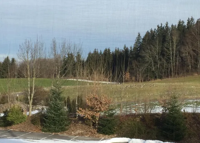 Vermietung Helmut Buergmann *