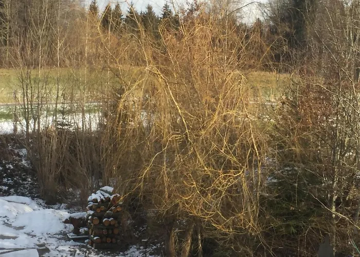 Vermietung Helmut Buergmann Kirchberg bei Mattighofen
